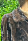 Mørkebrun klippet mink frakke - Vintage